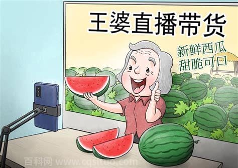 王婆卖瓜卖的什么瓜