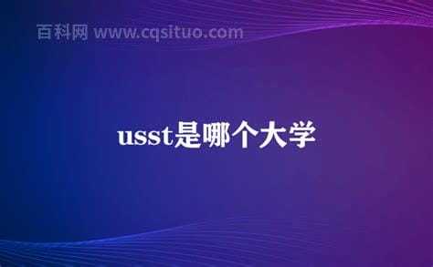 usst是哪个大学