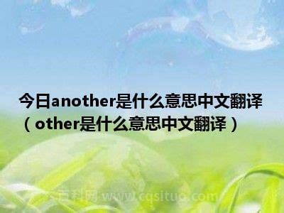 other是什么意思