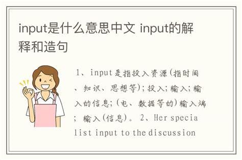 input是什么意思中文