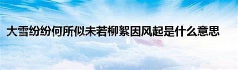 大雪纷纷何所似是什么意思