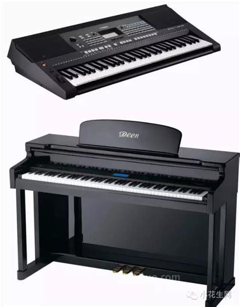 电子琴和钢琴的区别
