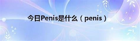 penis是什么意思