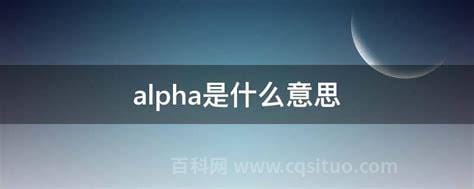 alpha是什么意思啊