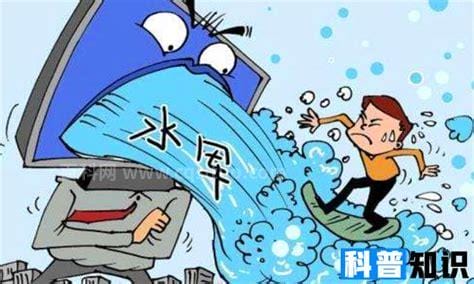 水军是什么意思