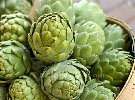 artichoke是什么蔬菜