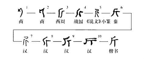 kg代表什么斤还是公斤