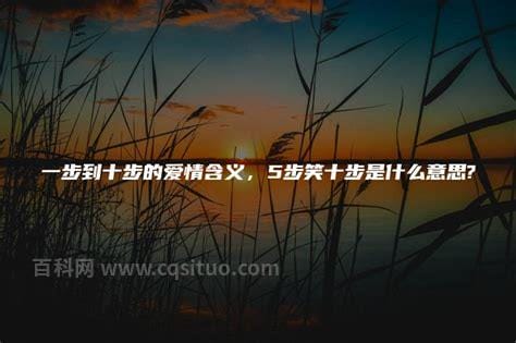 什么十步笑什么步