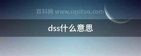 dss什么意思