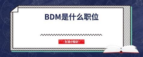 bdm是什么职位