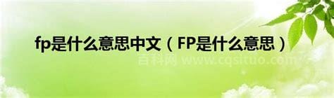 FP是什么意思