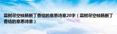 霜树尽空枝肠断丁香结诗意