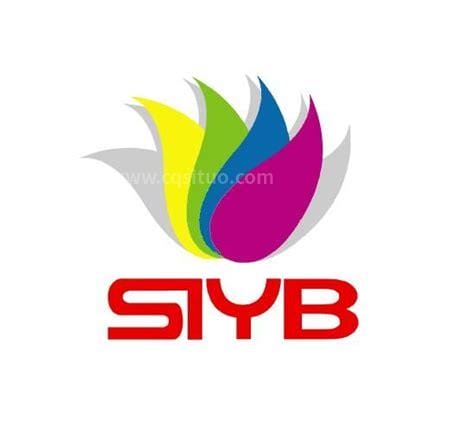 syb是什么