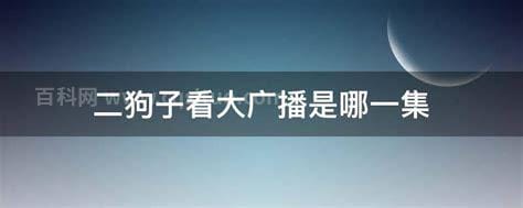 二狗子看大广播是哪一集