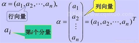 n维向量是什么意思