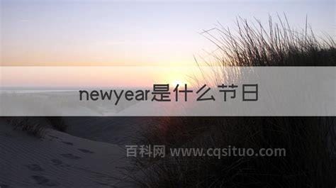 newyear是什么节日