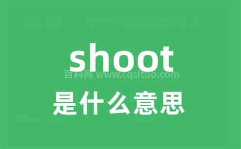 shoot是什么意思