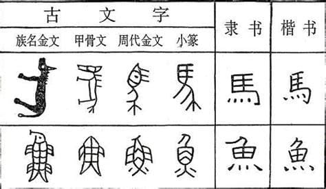 汉字的来历和汉字的起源相关知识