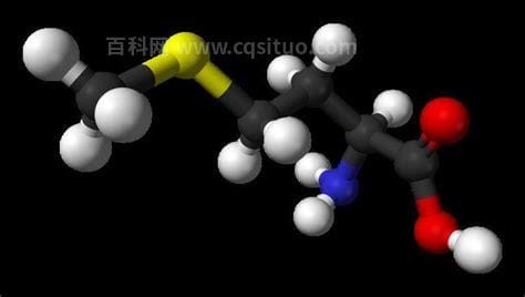 蛋氨酸的作用