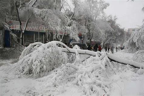 雪灾是哪一年