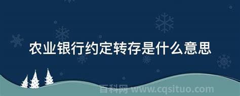 农业银行约定转存是什么意思