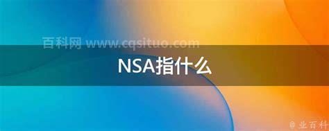 NSA指什么