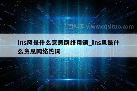 ins是什么意思网络热词