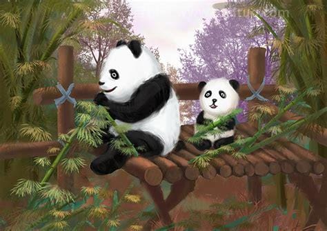 谁知道一个关于熊猫的动画片