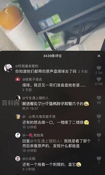 抖音里的盘她是什么意思