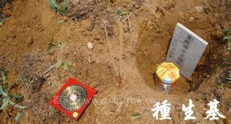 种生基是什么意思