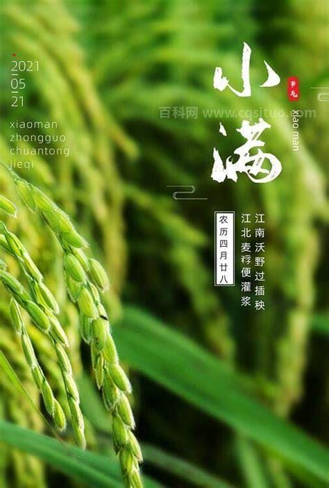 小满是什么意思