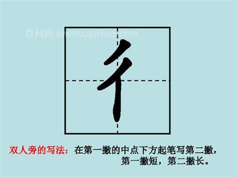 双人旁的字 双人旁的字有哪些