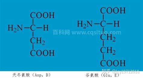 glu是什么氨基酸