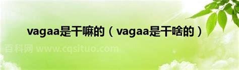 vagaa是干啥的