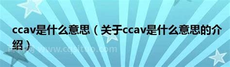 ccav是什么意思