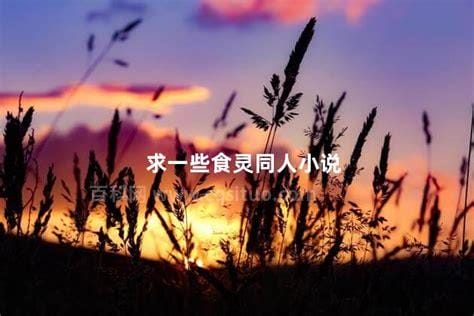 求一些食灵同人小说