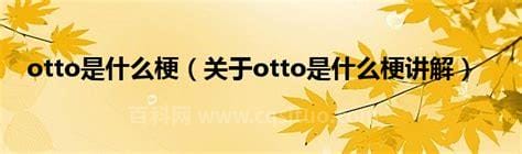 otto是什么梗