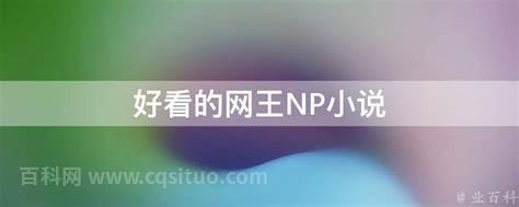 好看的网王NP小说