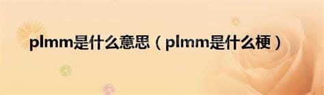 plmm是什么意思