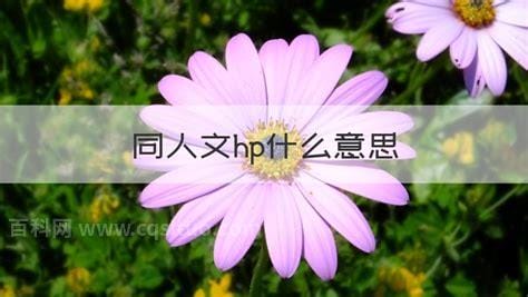 同人文hp什么意思