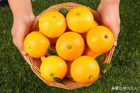 果冻橙和普通橙子有什么区别