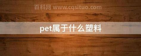 pet属于什么塑料