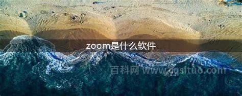 zoom软件是干什么的