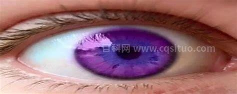 紫色眼睛的人什么血统