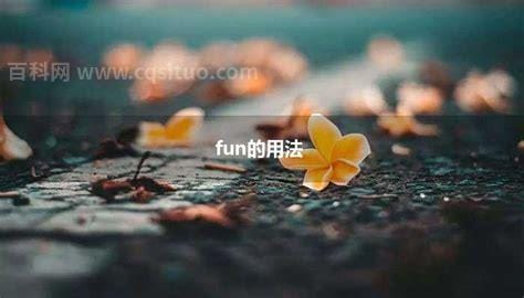 fun的用法