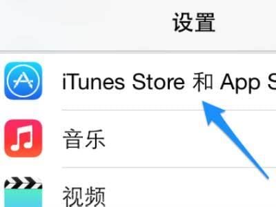 苹果11设置里itunes不见了