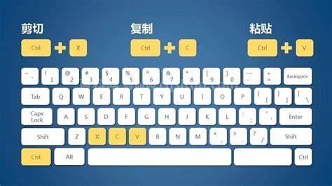 复制和粘贴快捷键ctrl加什么