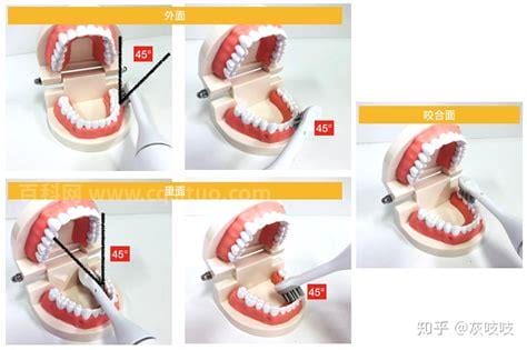 牙间刷怎么用