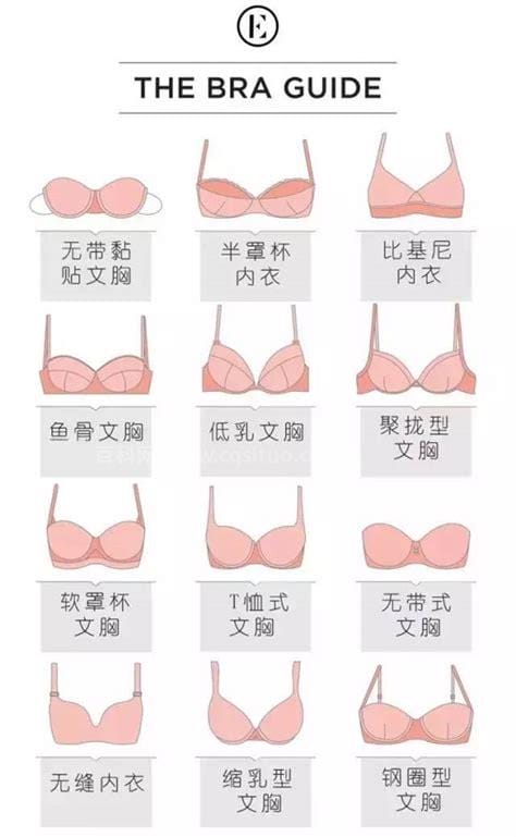 brassiere什么意思