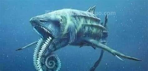生活在深海中的动物有什么